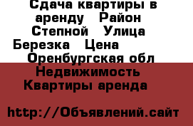 Сдача квартиры в аренду › Район ­ Степной › Улица ­ Березка › Цена ­ 12 000 - Оренбургская обл. Недвижимость » Квартиры аренда   